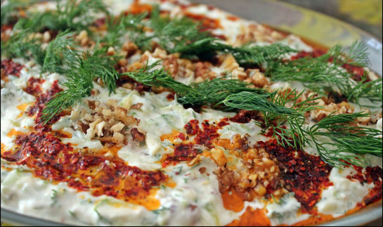 Yoğurtlu Kabak Salatası Tarifi ve Malzemeleri